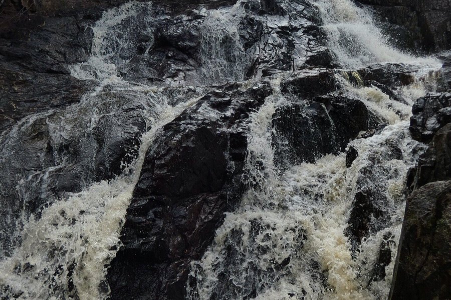 Ferntree Falls image