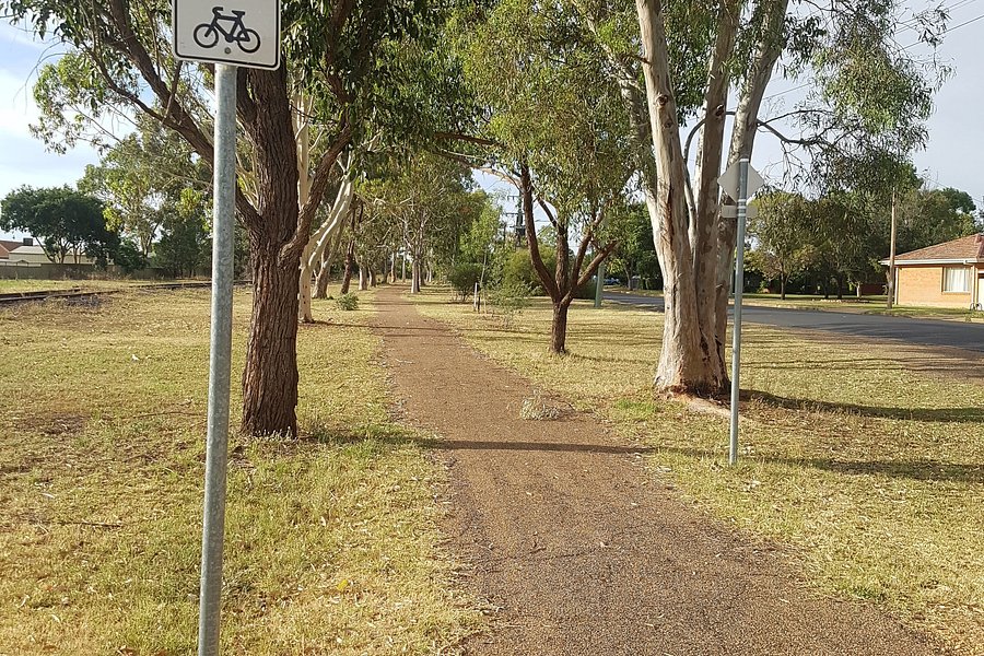 Tracker Riley Cycleway image