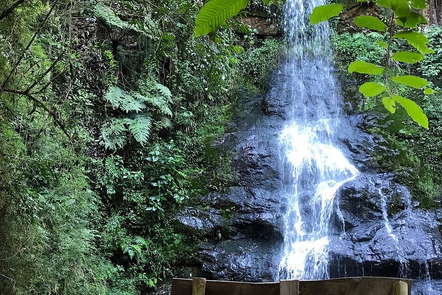 Cachoeira do Joaquim image
