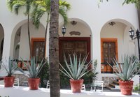 Hotel photo 31 of Oasis Palm.