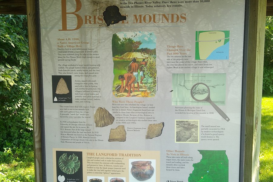 Briscoe Mounds image