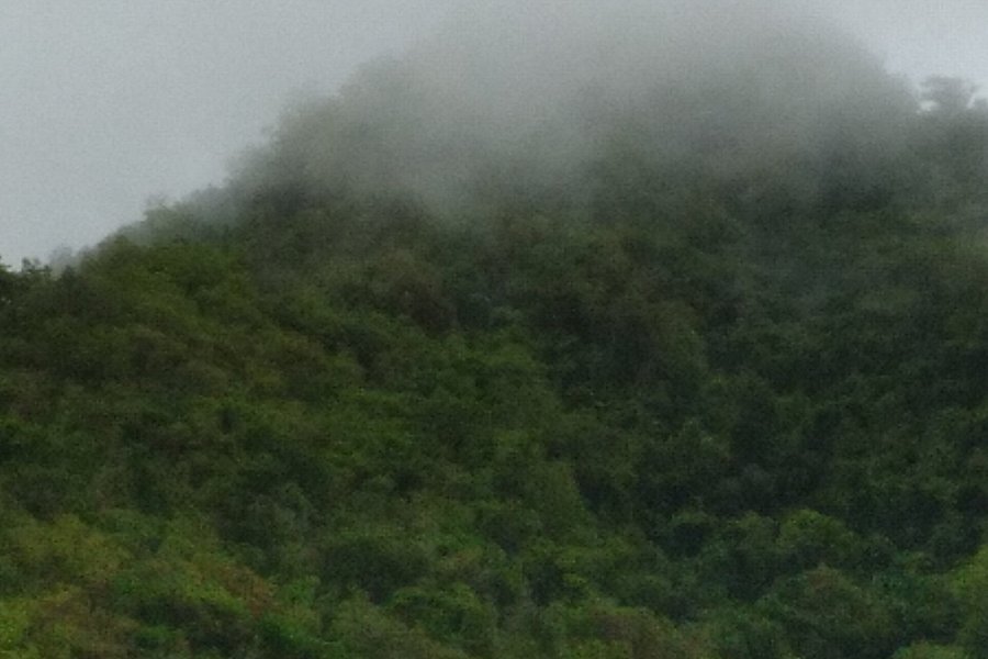 Cerro Piedra Gorda image