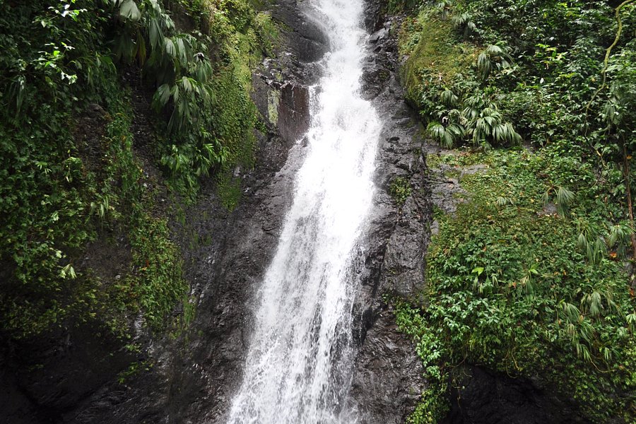 Fontainebleu Falls image
