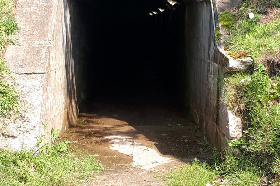 Mcadam Pedestrian Tunnel image