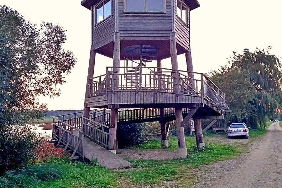 Tērvete Reservoir Bird Watching Tower image