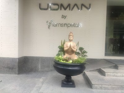 Hotel photo 19 of Udman Hotel by Ferns N Petals.