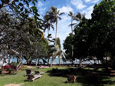Hotel photo 13 of Palm Villa Mirissa.