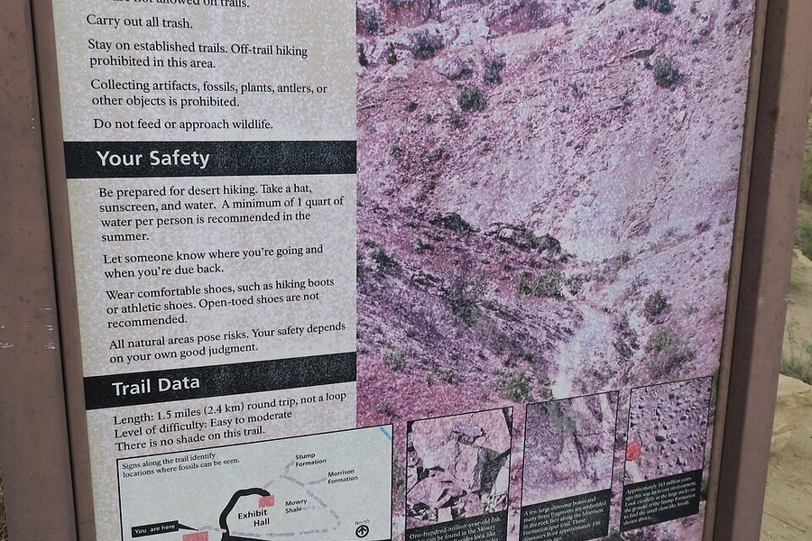 Fossil Discovery Trail image