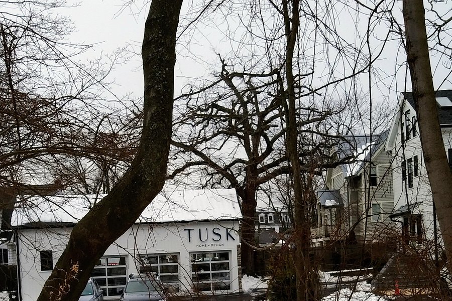 Tusk Home + Design image
