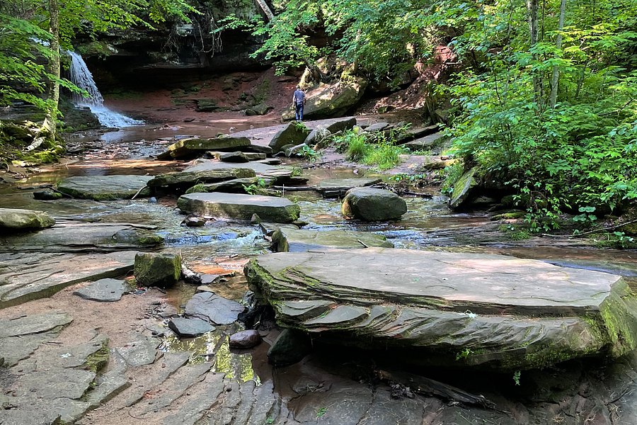 Lost Creek Falls image