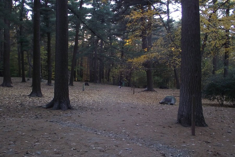 Moseley Woods Park image