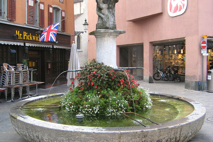 Lion Fountain image