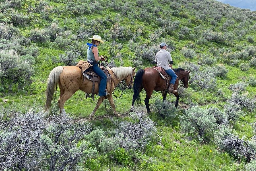 Silver Spur Ranch Idaho image