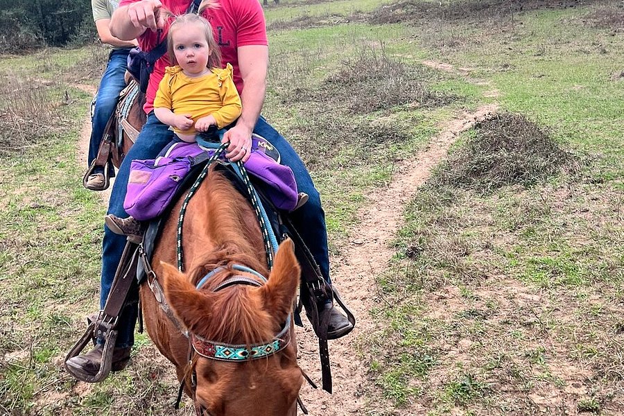 Waller County Horseback Riding Adventure image