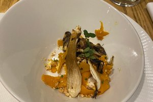 Cibo