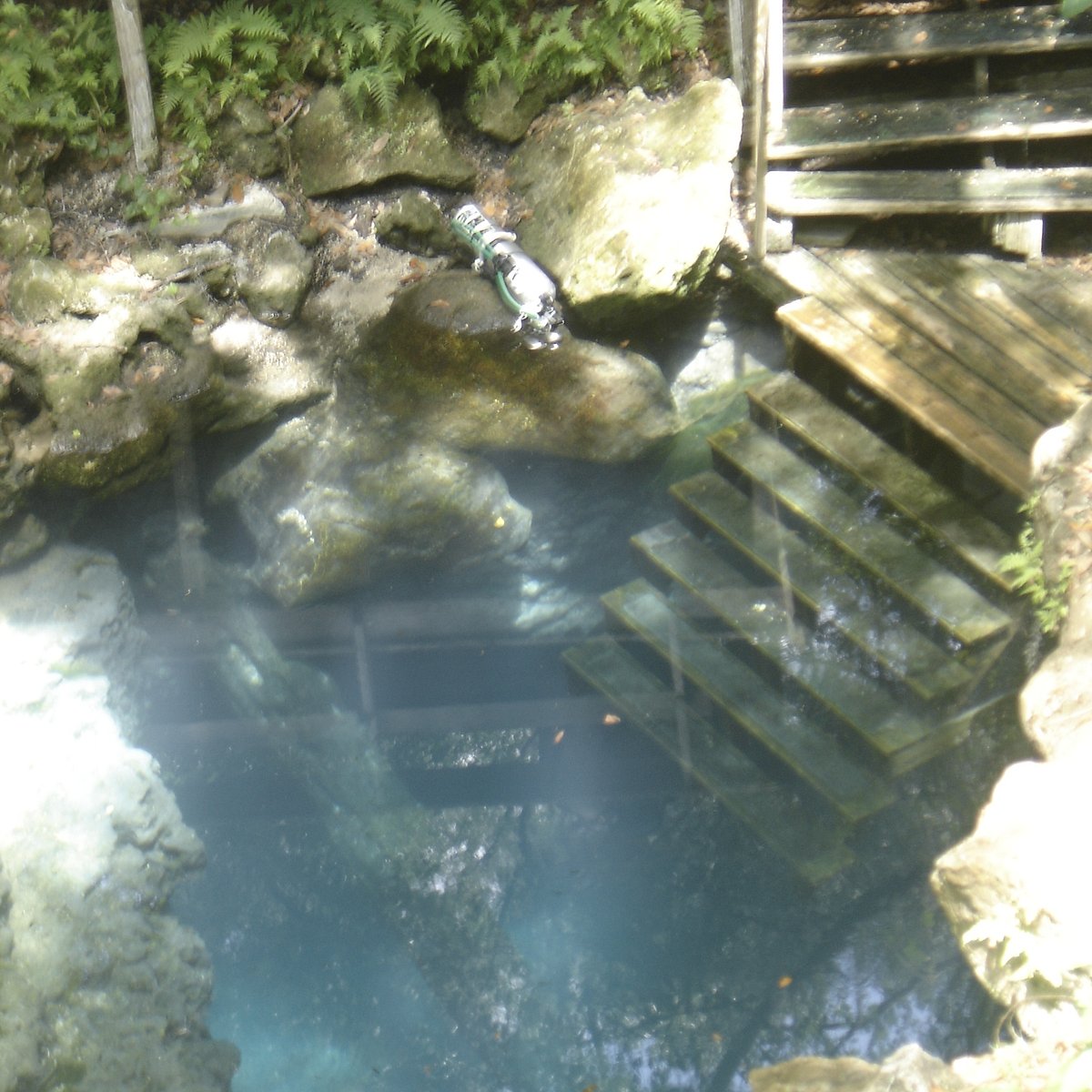 Florida: With Nature's Springs and Sinkholes is a Diver's Paradise