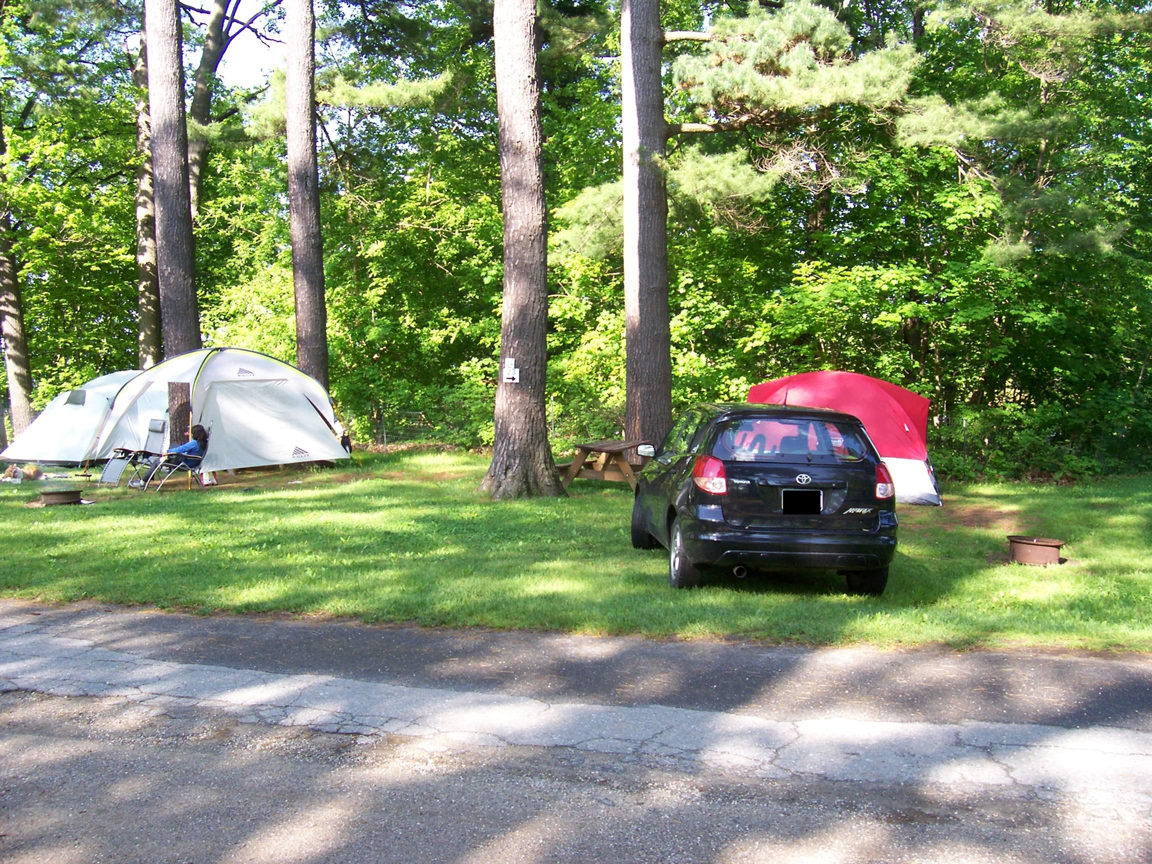 Discover North Beach Campground: A Guide to Stunning Photos and Experiences