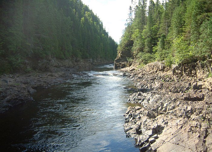 Rivière du Petit-Saguenay - à côté des chalets