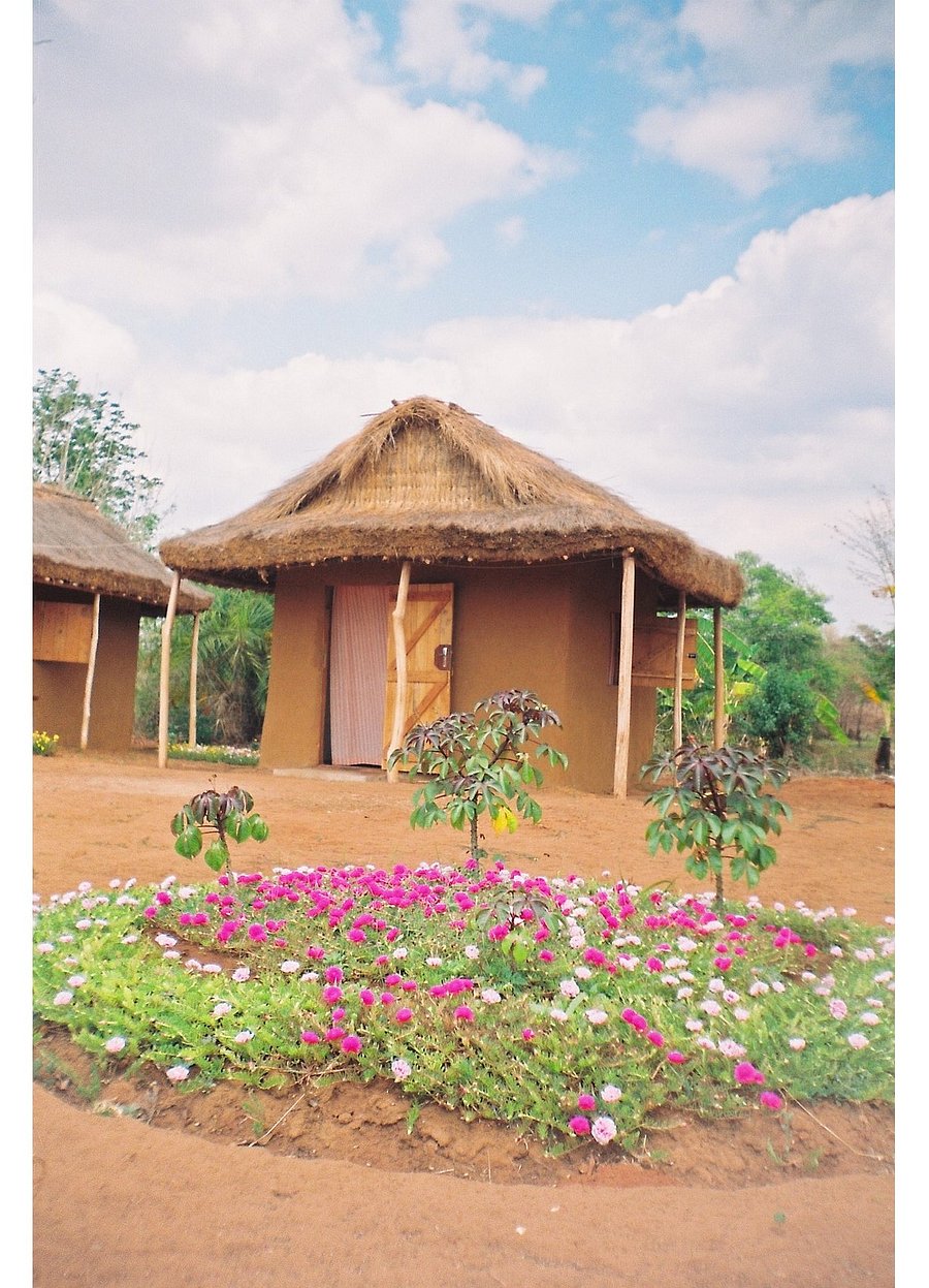 Hotel Tsingy Lodge De Bemaraha ツィンギ デ ベマラ 国立公園 21年最新の料金比較 口コミ 宿泊予約 トリップアドバイザー Hotel Tsingy Lodge De Bemaraha ツィンギ デ ベマラ 国立公園 21年最新の料金比較 口コミ 宿泊予約 トリップアドバイザー