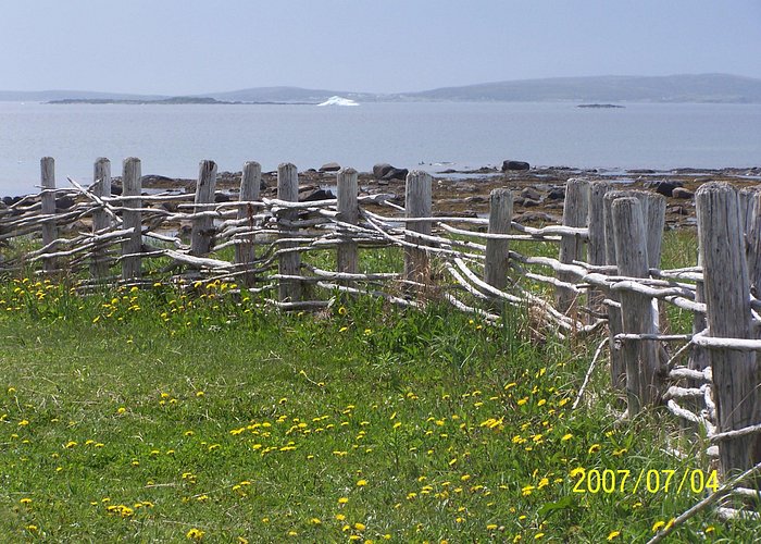 Icebergs in background, L'Anse aux Meadow