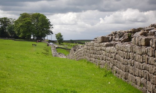 Hadrian's Wall looking toward the fort (which is behind the trees)