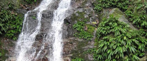 Falls in the jungle Rio Cangrejal