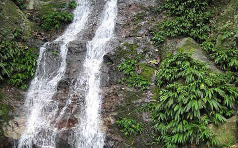 Falls in the jungle Rio Cangrejal