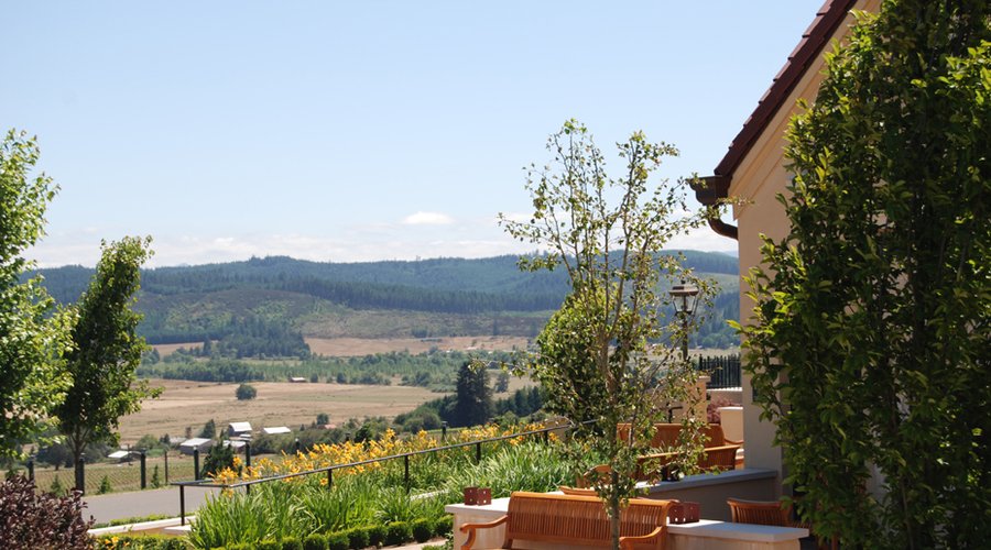 The terrace at King Estate