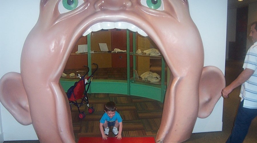 in the teeth exhibit room