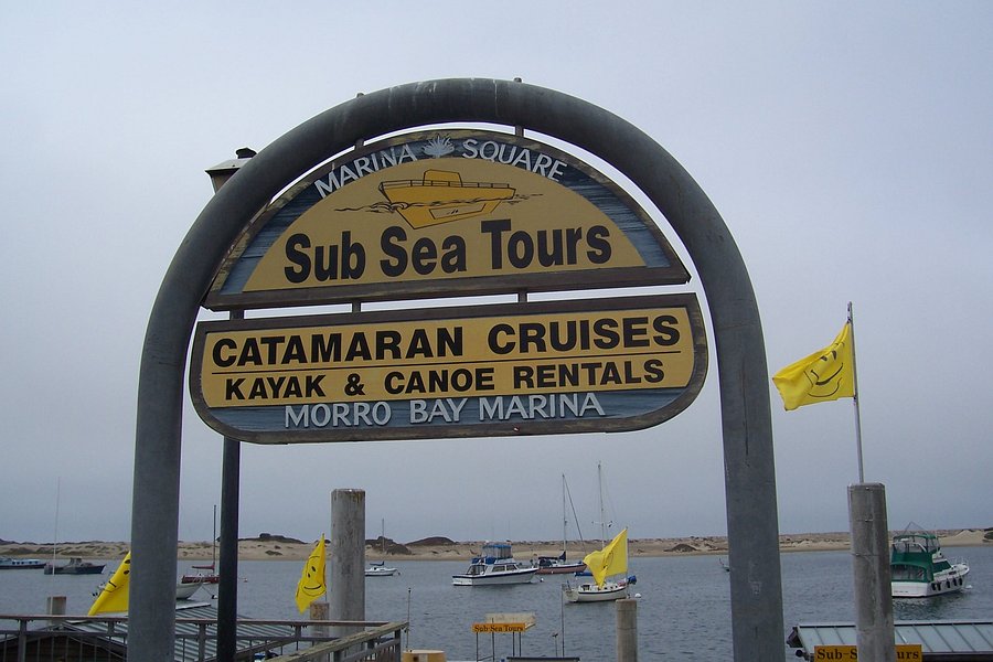 sub sea tours morro bay