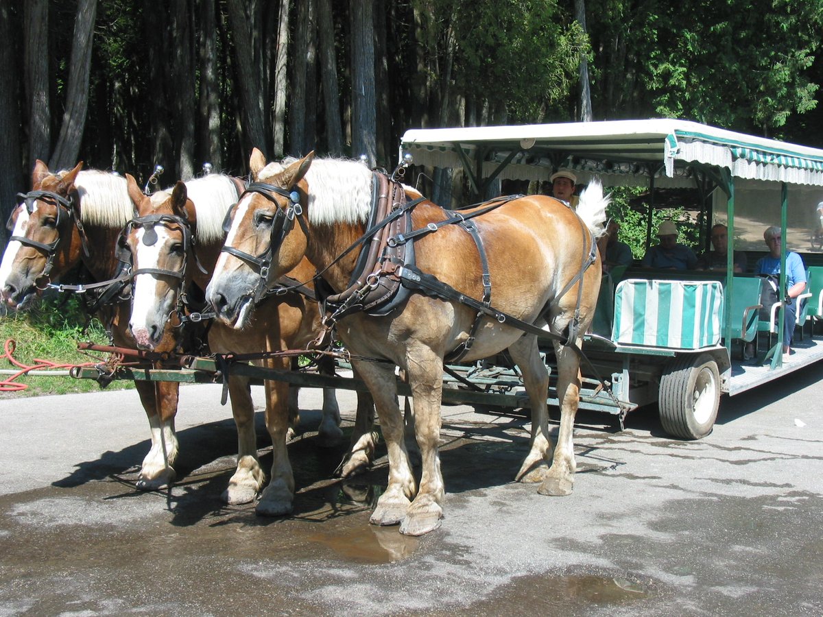 Mackinac Island Carriage Tours 2022 Ce qu'il faut savoir pour votre