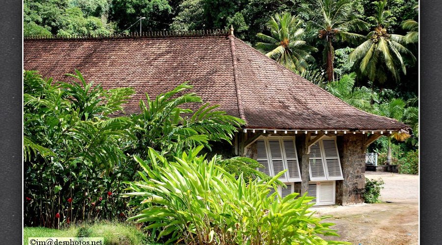 L'habitation Limbé, au cœur de la plantation