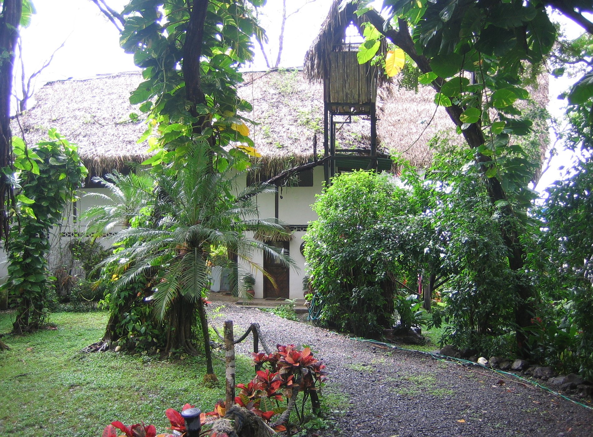 Tree Tops Bed and Breakfast by null