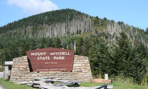 Mt. Mitchell SP