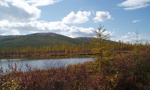 Siberian landscape