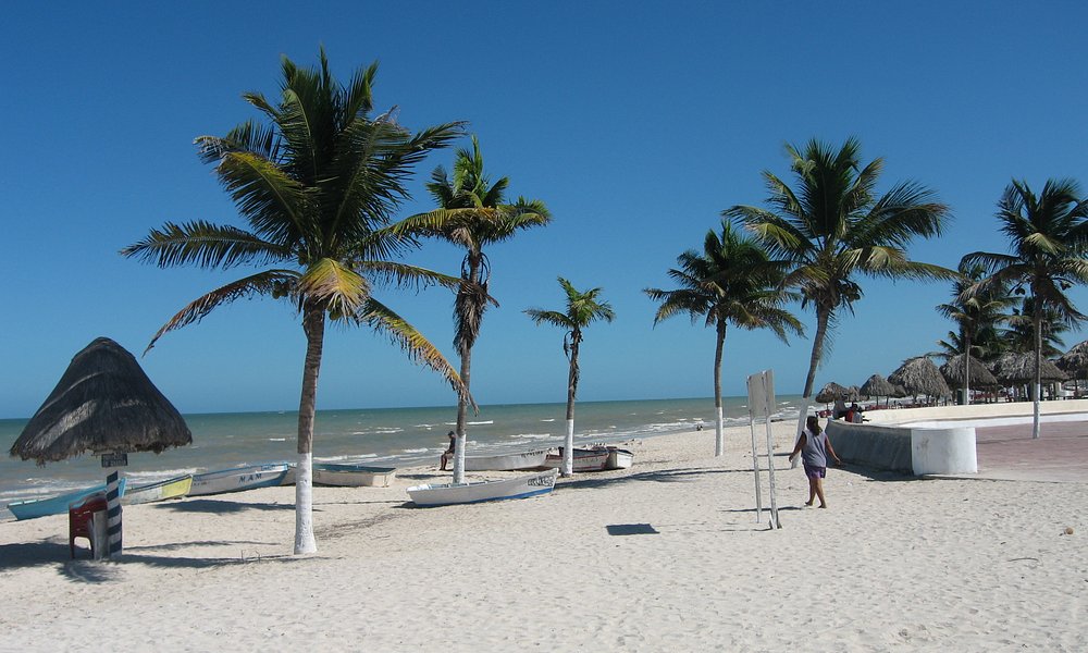 tours in progreso mexico