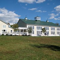 Veritas Vineyard