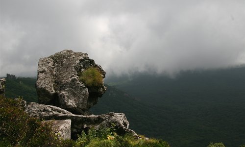 a rock