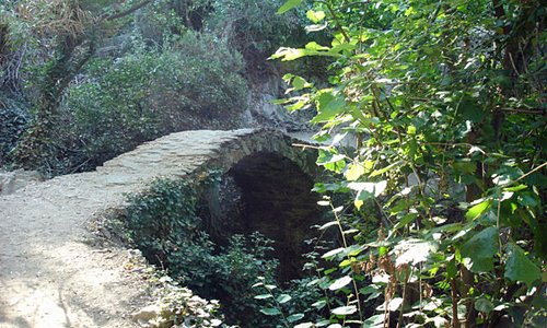 A pretty spot on the Via dell'Amore