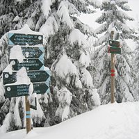 Signposts in Nordmarka - Blue for summer / Red for winter