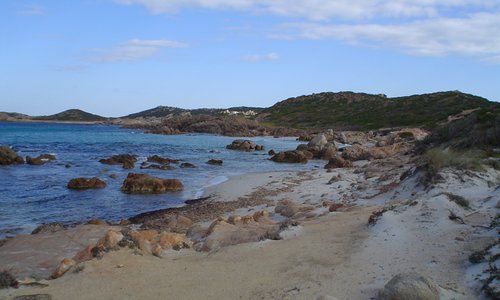 playas vírgenes en la Isla de la Magdalena