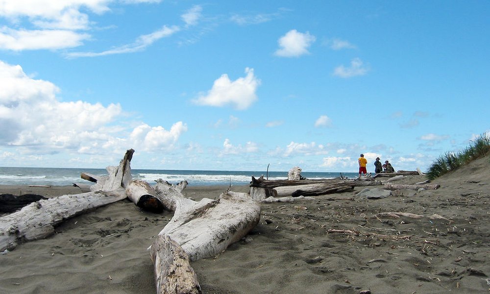 Ocean shores casino dog friendly resorts