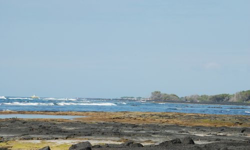 Shoreline