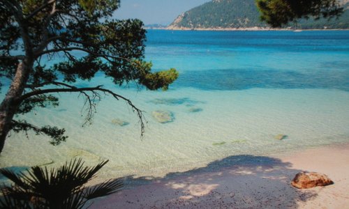 Formentor(visita obligada)