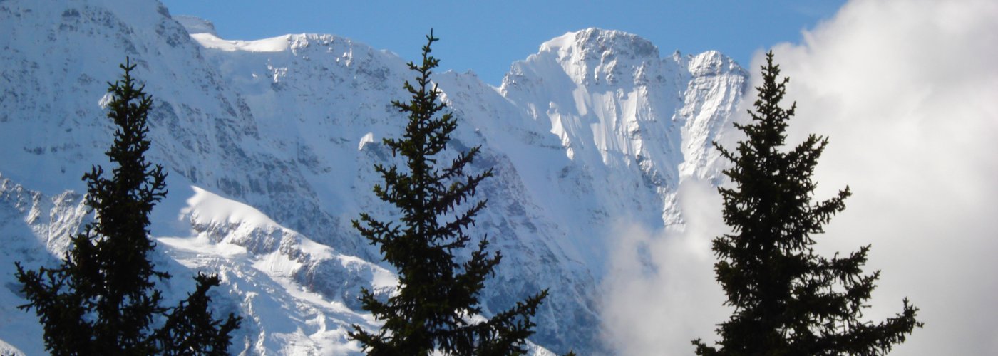 Another very nice Alps view