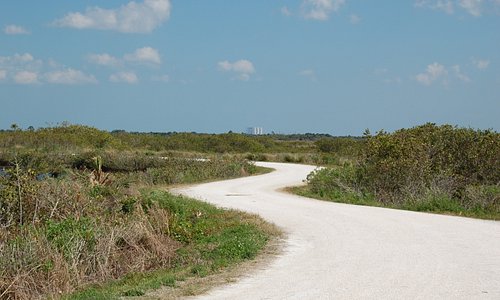 A Road in the Refuge