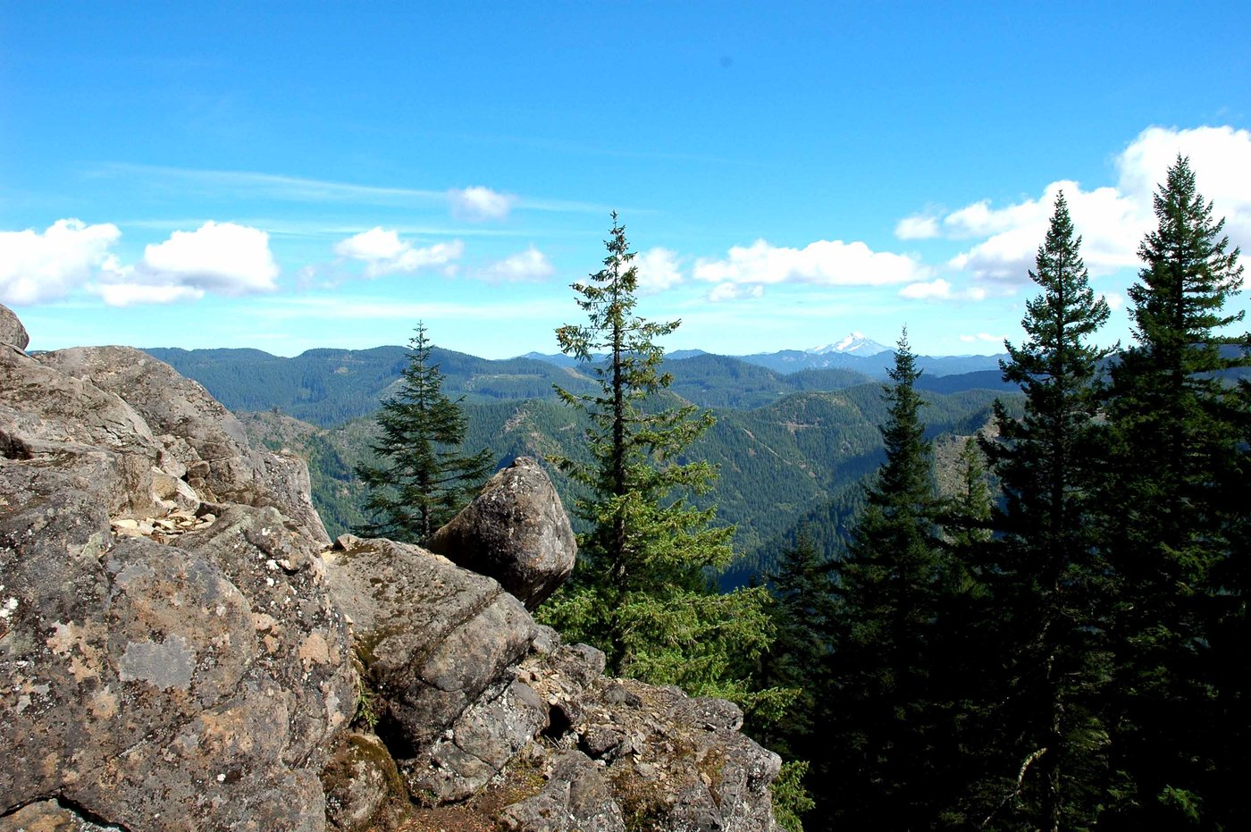 Escape to Trout Creek: Oregon's Hidden Gem