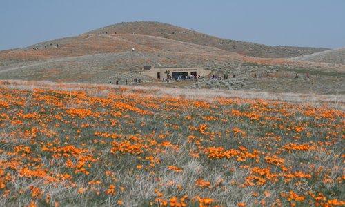 Visitors center