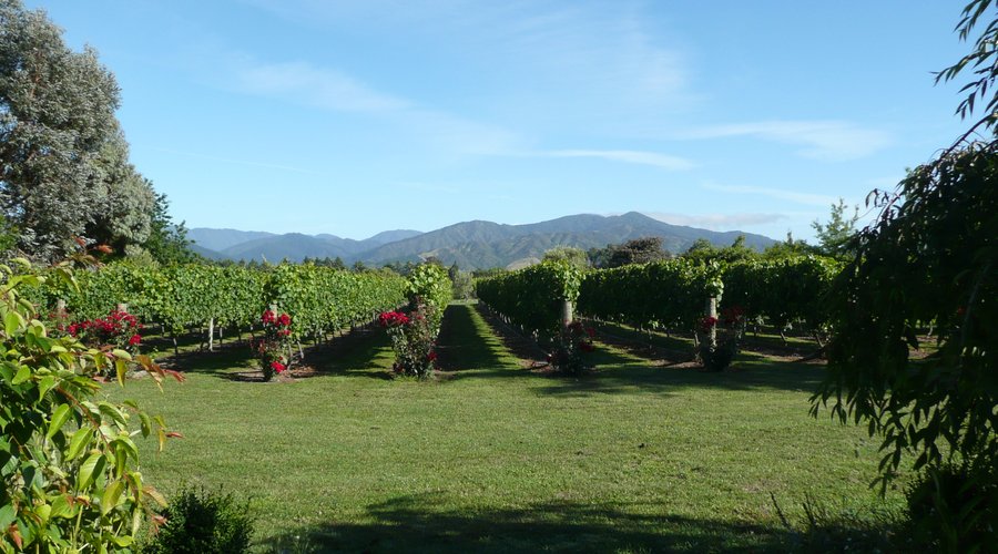 view from the terrace