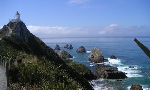 Nugget Point, looking South